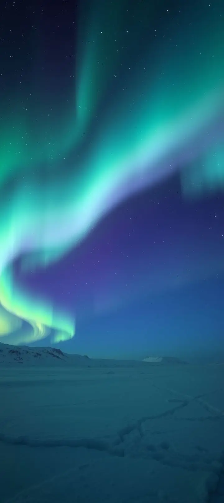 Vivid green and violet aurora borealis shimmering over a dark, snow-covered arctic landscape.