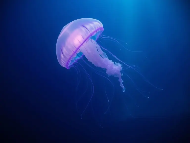 Deep sea jellyfish glowing with violet and emerald light.