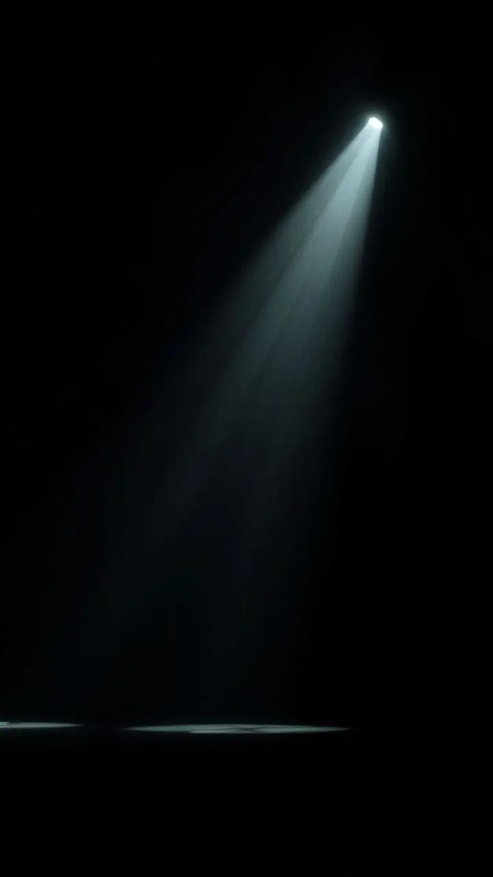 Moody scene with dramatic, high-contrast shadows.