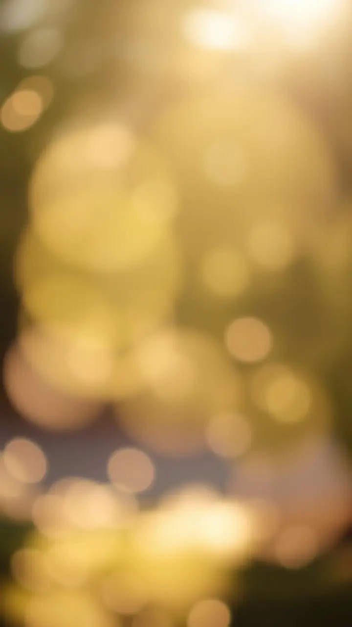 Softly blurred background with bokeh and warm light.