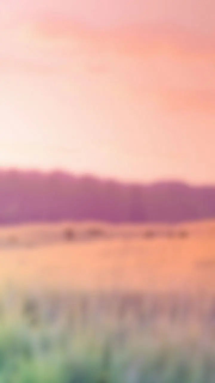 Serene landscape with green meadow, pastel dusk sky, and soft bokeh.