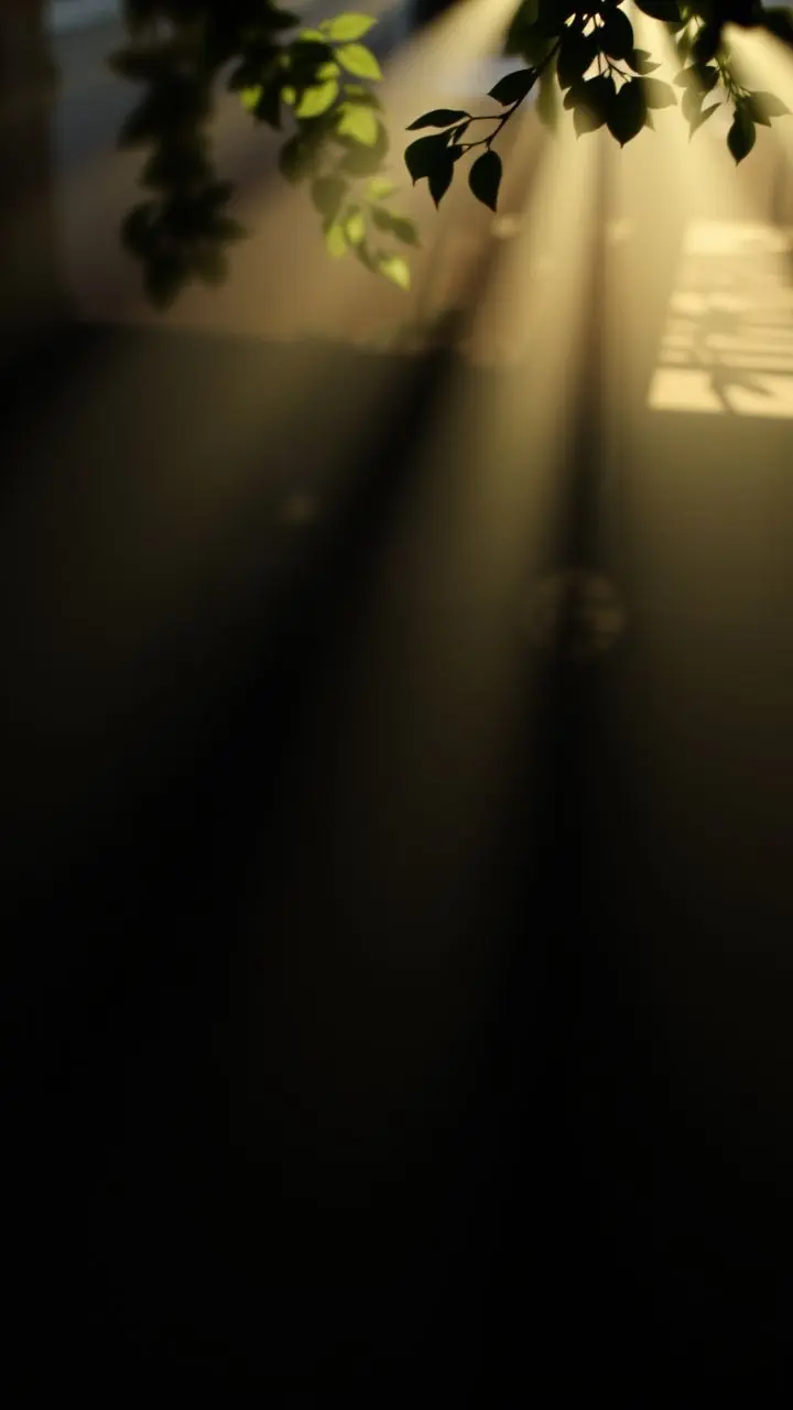 Softly lit environment with gentle, dispersed shadows.