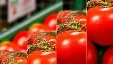 Close-up of red tomatoes on a shelf.