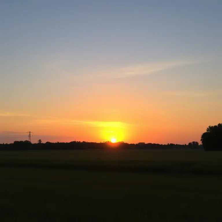 Sunrise over a field.