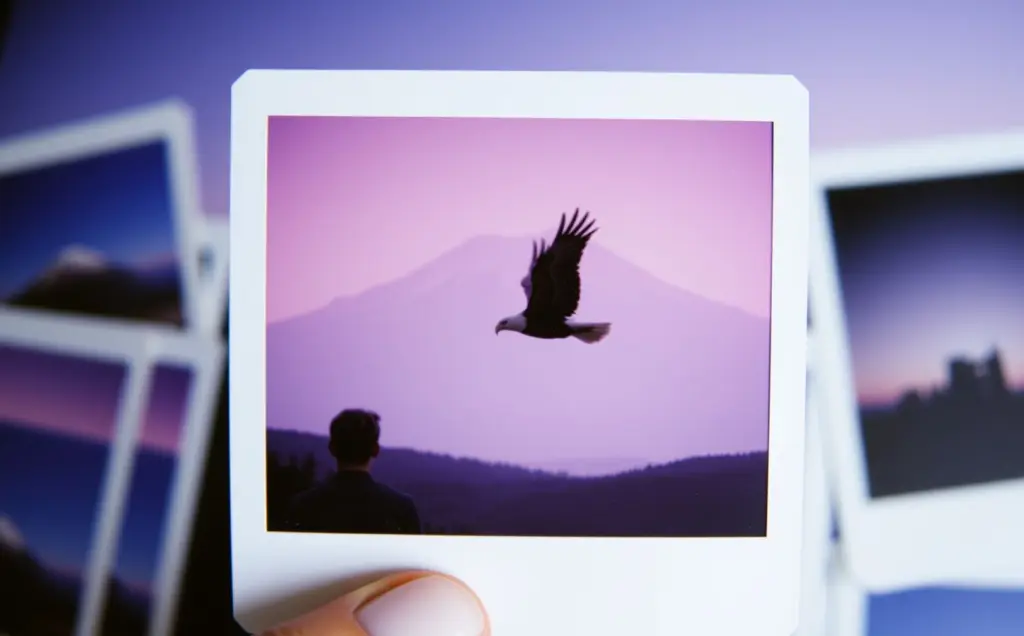 Polaroid photos of Mount Fuji with coffeestain art style.