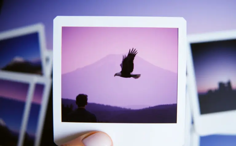 Polaroid photos of Mount Fuji with coffeestain art style.
