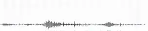 Minimalist black sound wave on white background