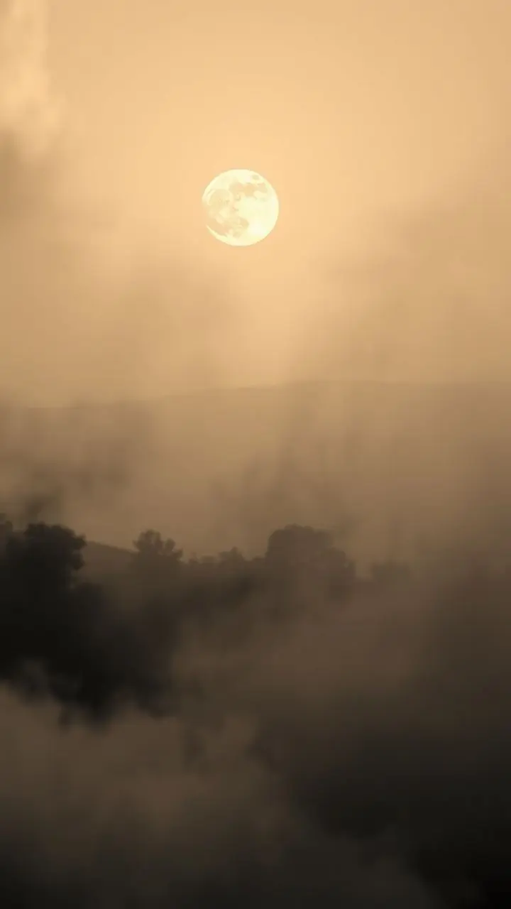 Monochromatic impressionist landscape with a harvest moon and smoky shadows.