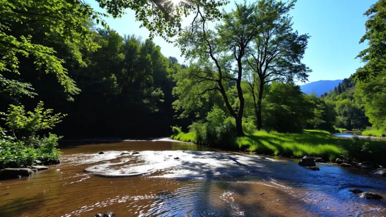 Tranquil stream in a green forest valley with sunlight.