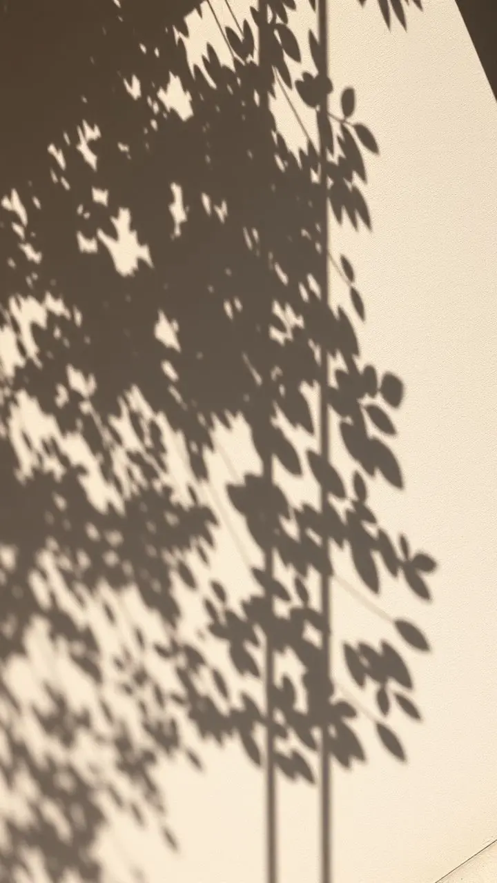 Natural shadows.