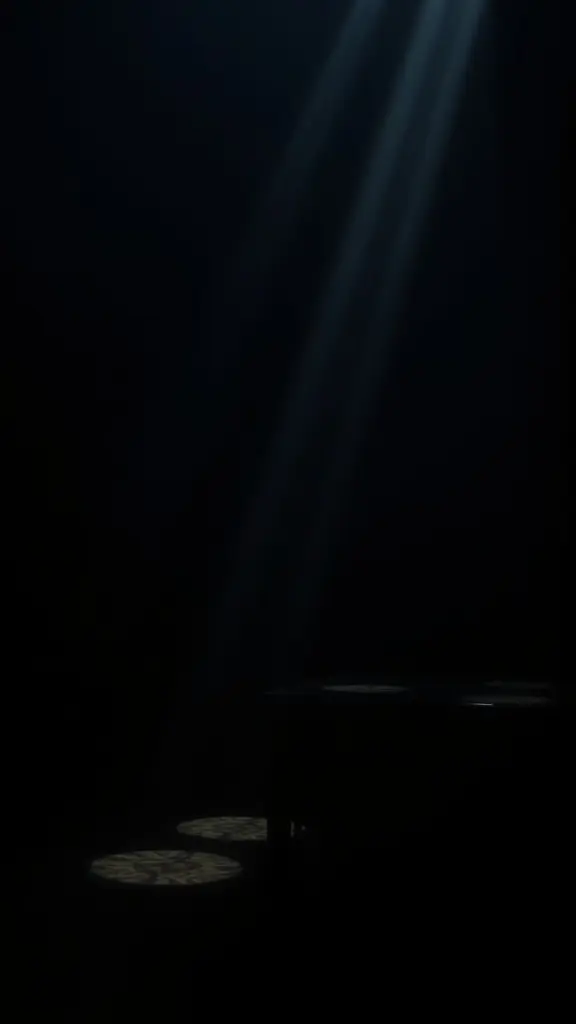 Dark atmospheric scene with strong contrast between shadows and highlights.