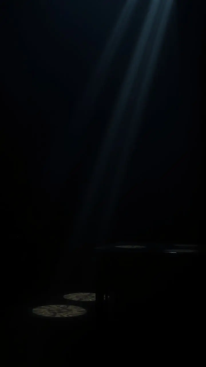 Dark atmospheric scene with strong contrast between shadows and highlights.