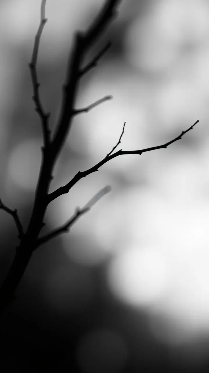 Abstract art with subtle tonal transitions.