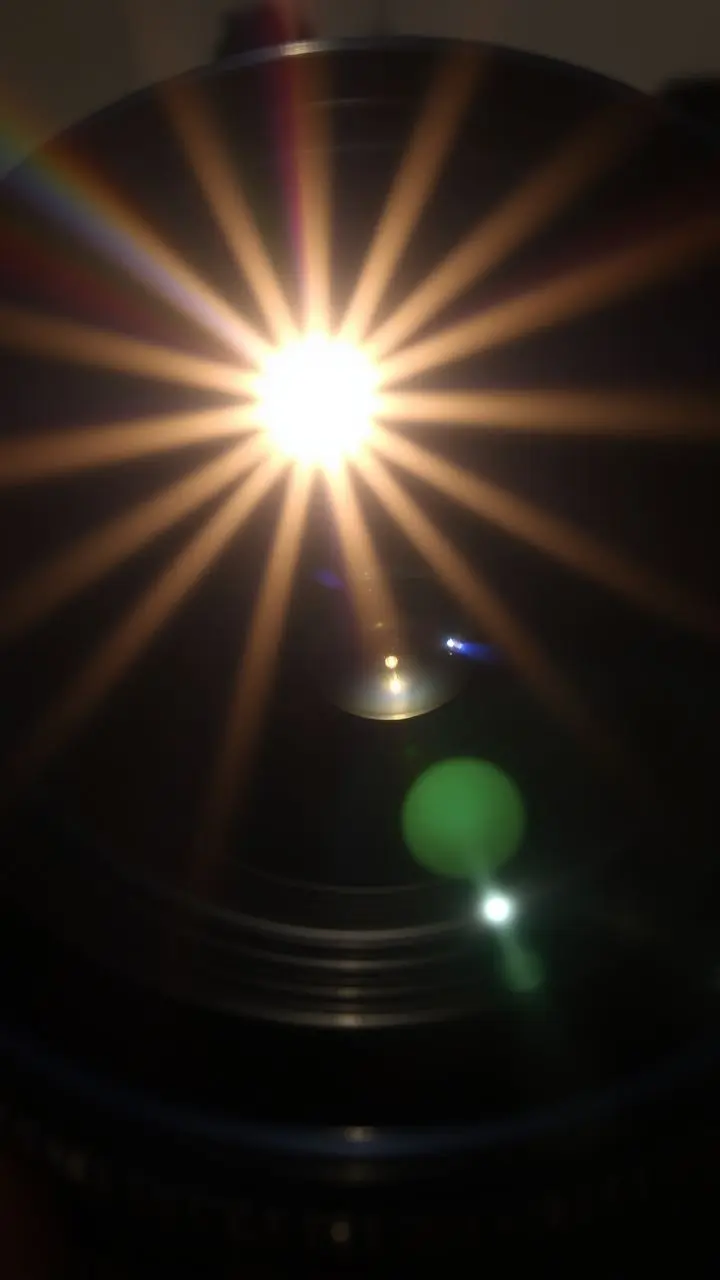 Realistic forest path with lens flare and sunlight.