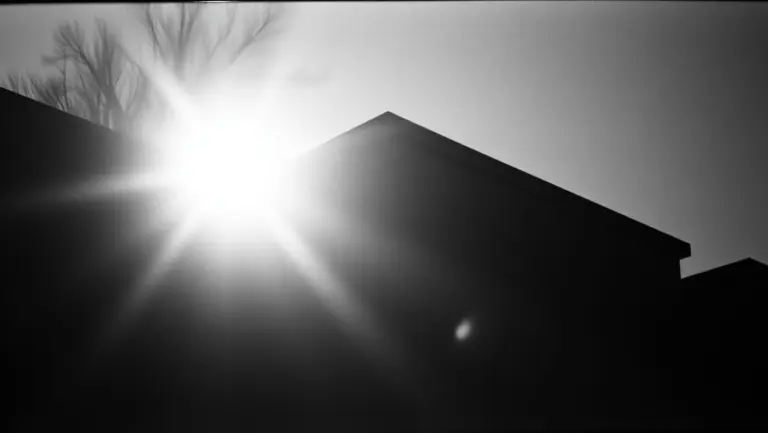 Black and white photo of a lightbulb styled as a sun.