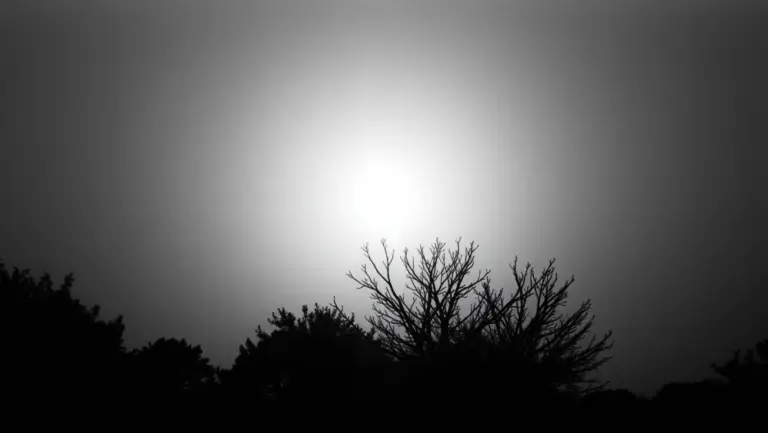 Grainy black and white photo of a glowing lightbulb resembling a sun.