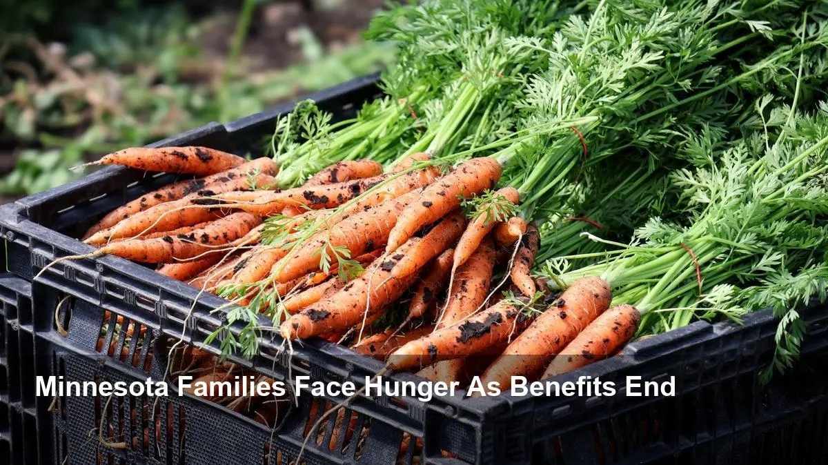 SNAP Crisis Looms: 440K Minnesotans Face Hunger